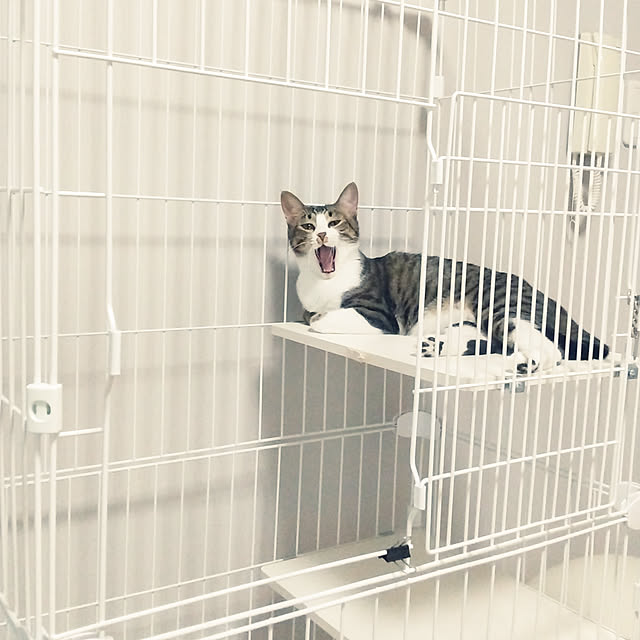 hanacocoさんの実例写真