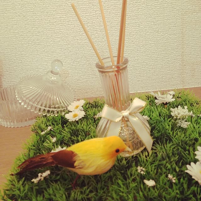mariさんの実例写真