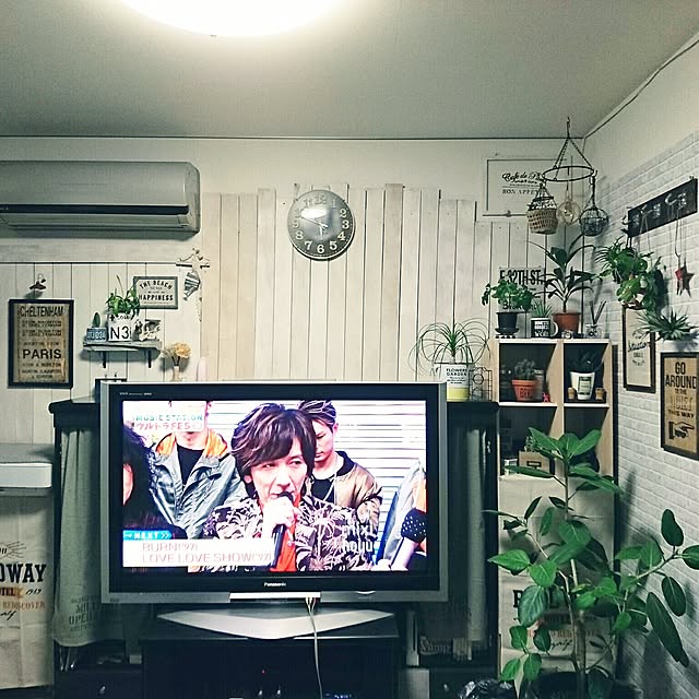 okameさんの実例写真