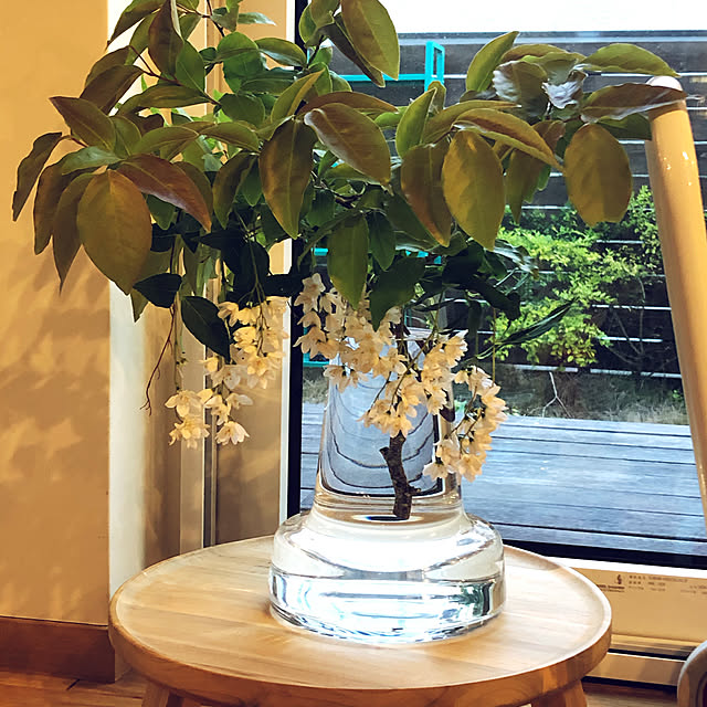 johnp._.qtotoさんの実例写真