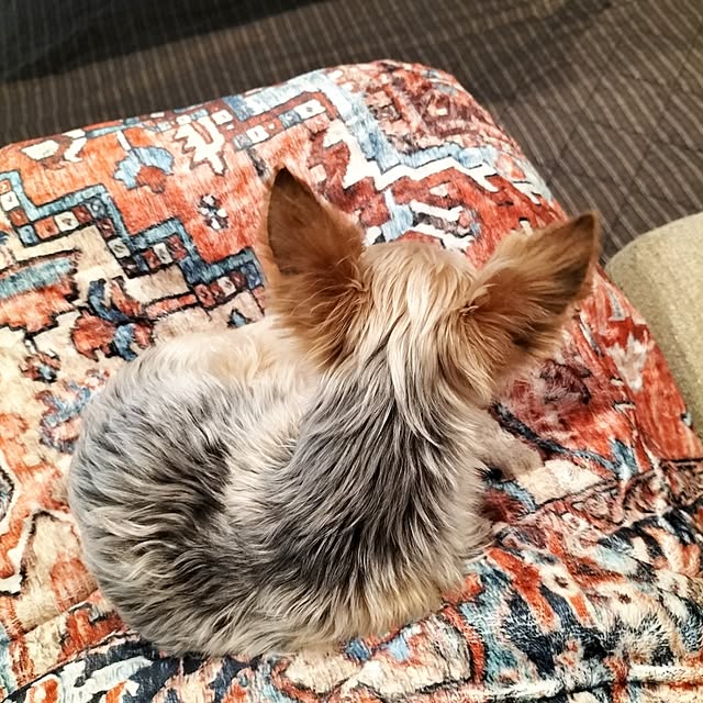 coco0.84.さんの部屋