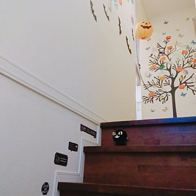 kotakikiさんの実例写真