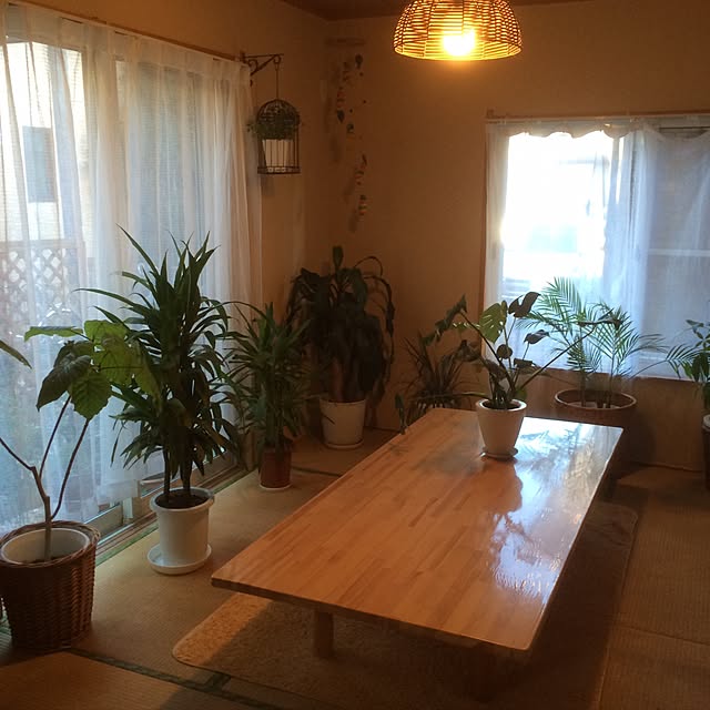 部屋全体/ガーデニングのインテリア実例 - 2016-10-08 13:08:07