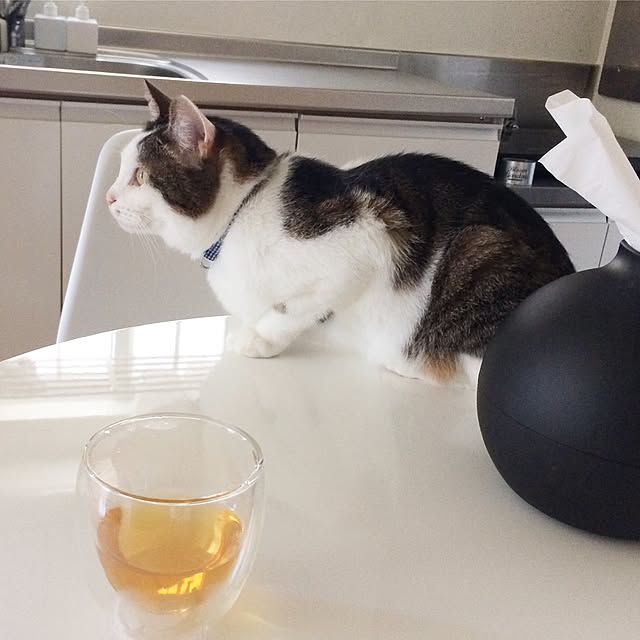 Kさんの実例写真