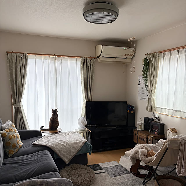 chiiさんの実例写真