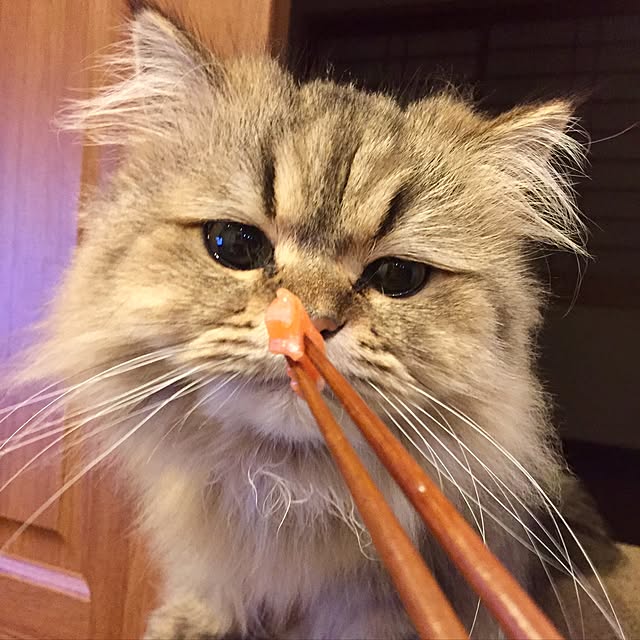 butachanさんの実例写真