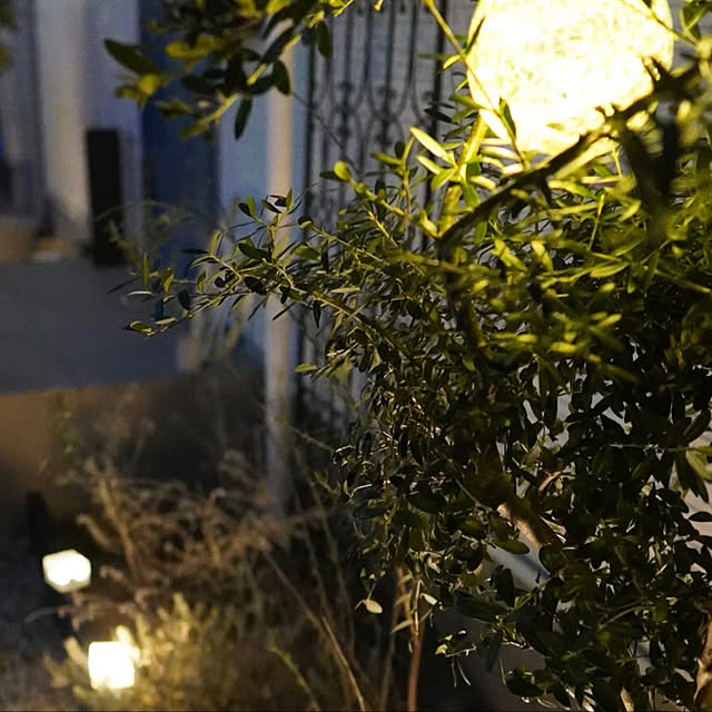 chobisukeさんの実例写真