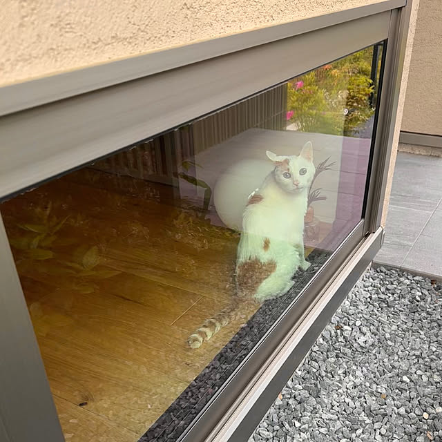 Minaさんの部屋