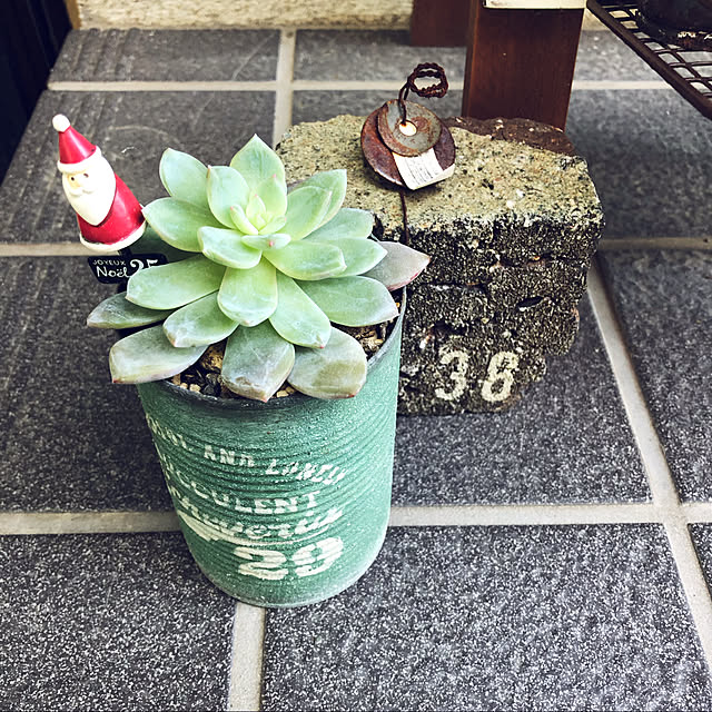 miiiii-noさんの実例写真