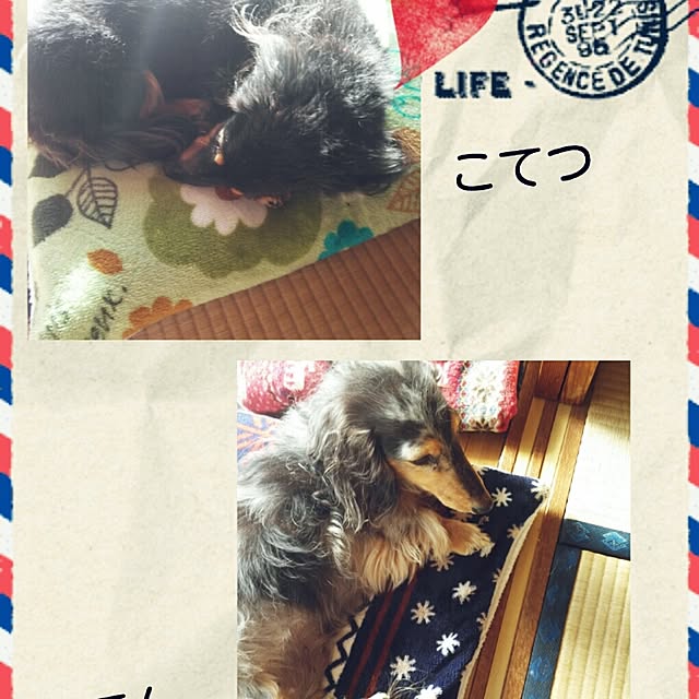 yukikoさんの実例写真