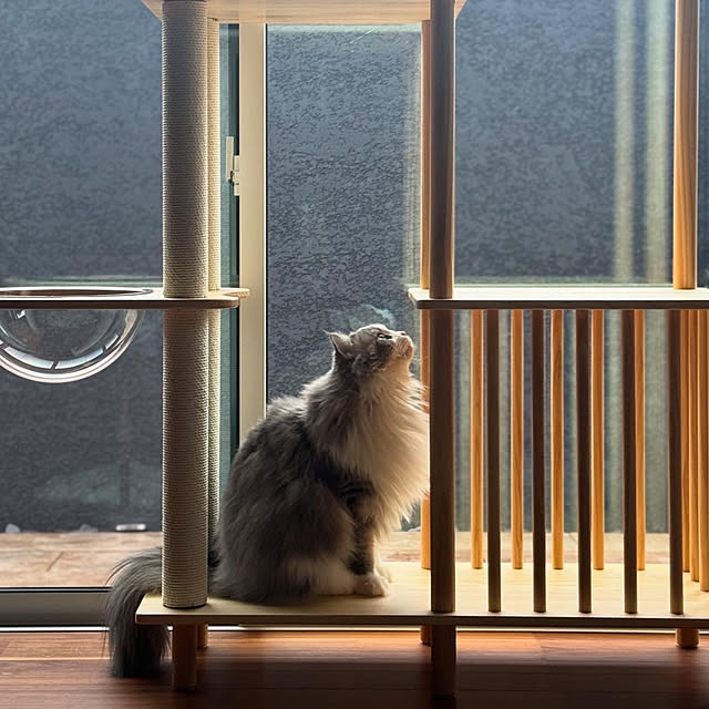sakiさんの部屋