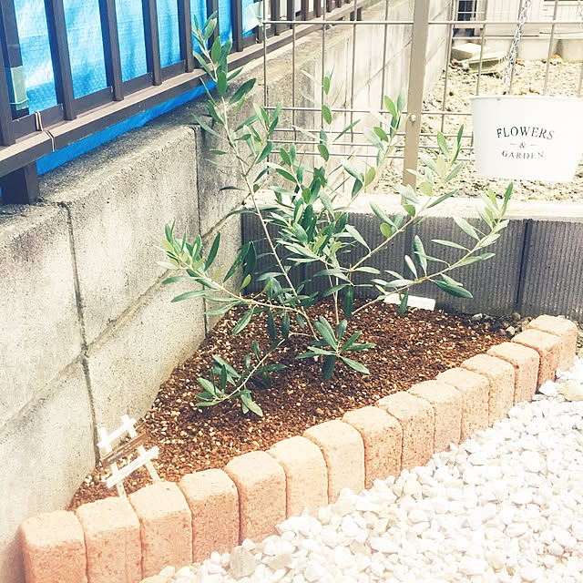 n.a.rさんの実例写真