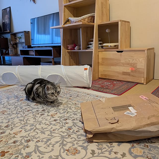 lovepeaceさんの部屋