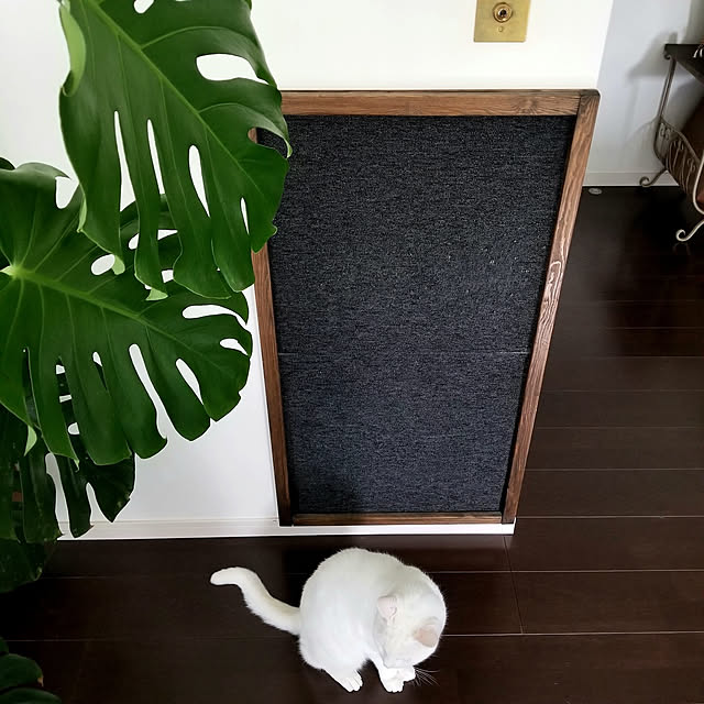 ymmtさんの実例写真