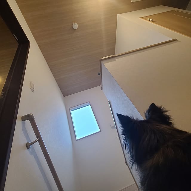 himawariさんの実例写真