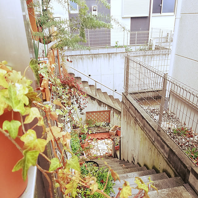 kazuさんの実例写真