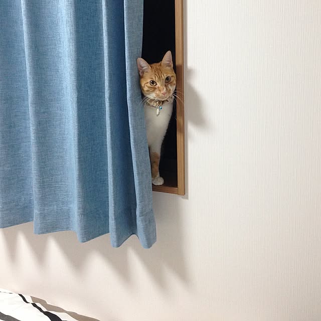 t.a.k.a.k.uuumさんの実例写真