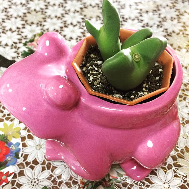 Paranparanさんの実例写真
