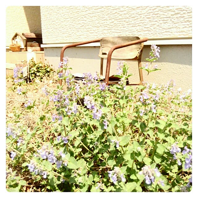 mayutan.さんの実例写真