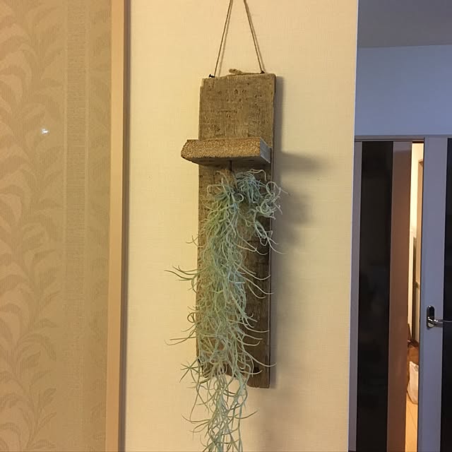 hikojinさんの実例写真