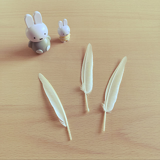 chicomaruさんの実例写真