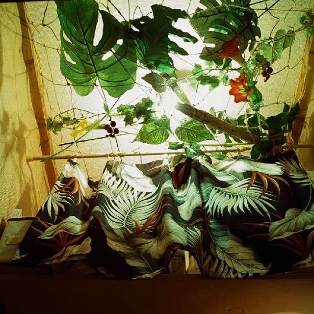 ippei9さんの実例写真