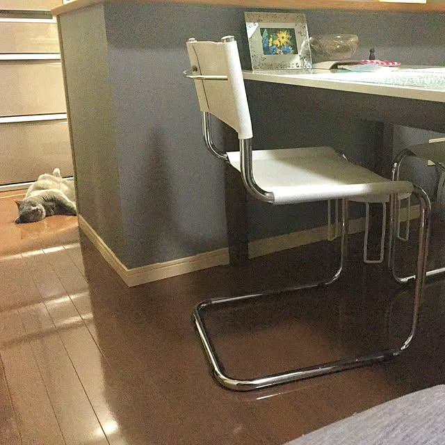kittyさんの実例写真