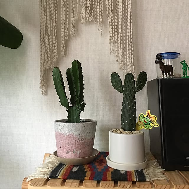 ainowa.さんの実例写真