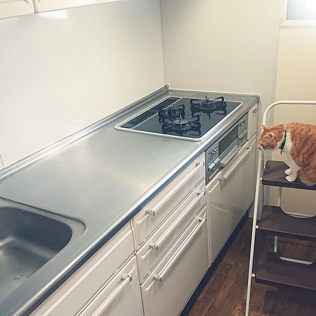 NOAHさんの実例写真