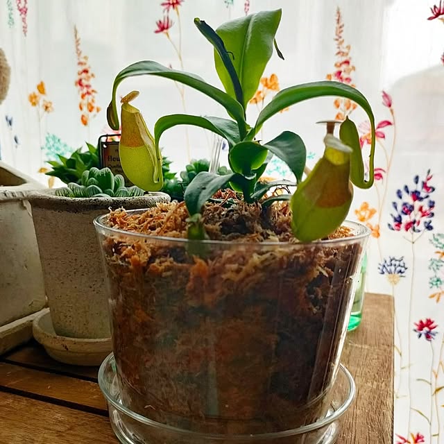teamoさんの部屋