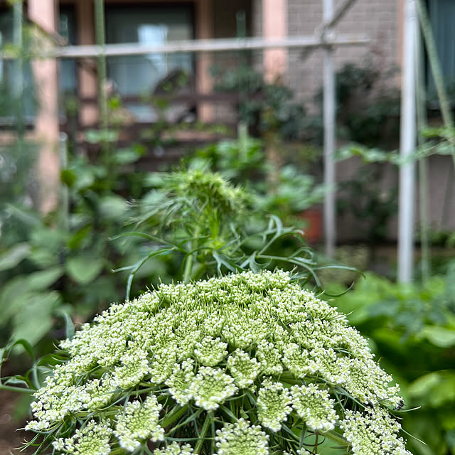 botanさんの部屋