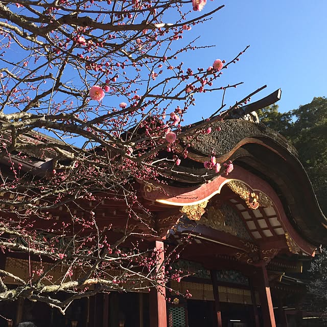 実例写真