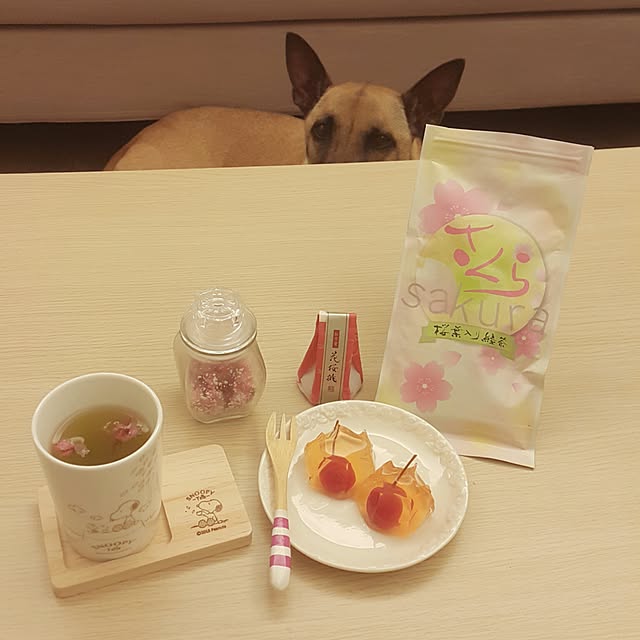 hahamiya365さんの実例写真