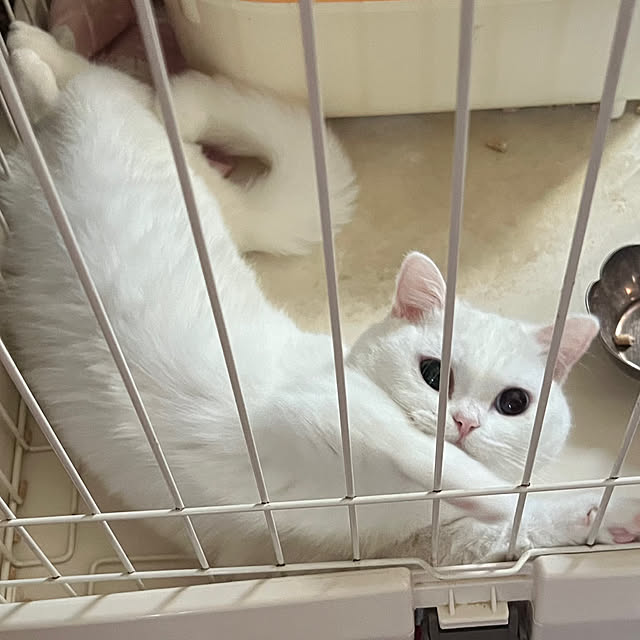 AYUKOさんの部屋