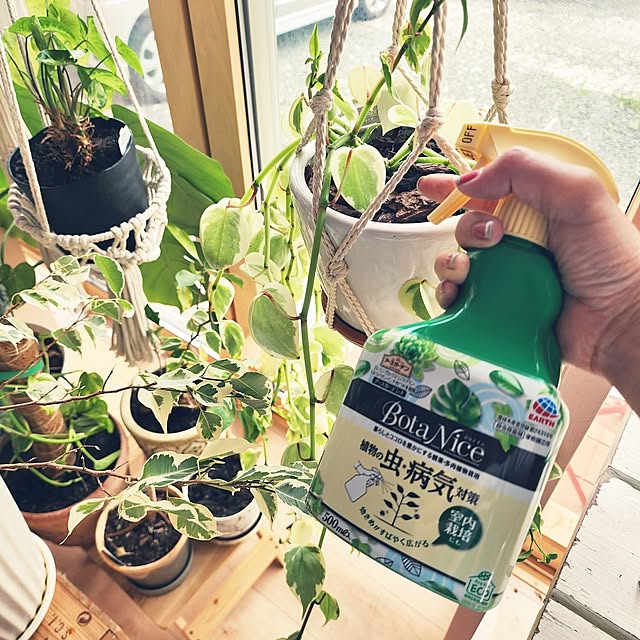 saさんの実例写真
