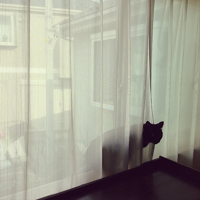 haacyuさんの実例写真