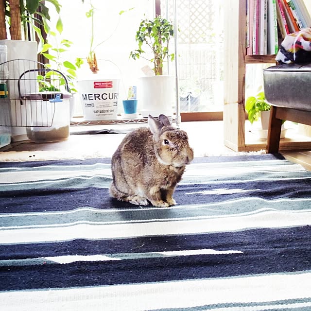 pochiageさんの実例写真