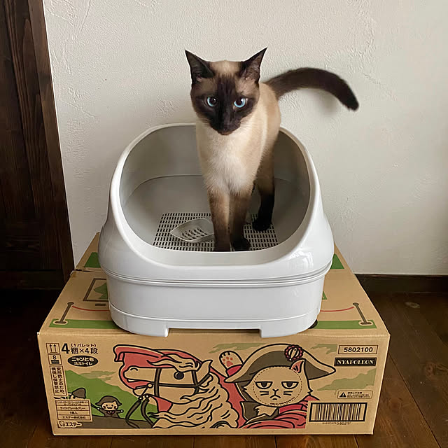 capelさんの実例写真