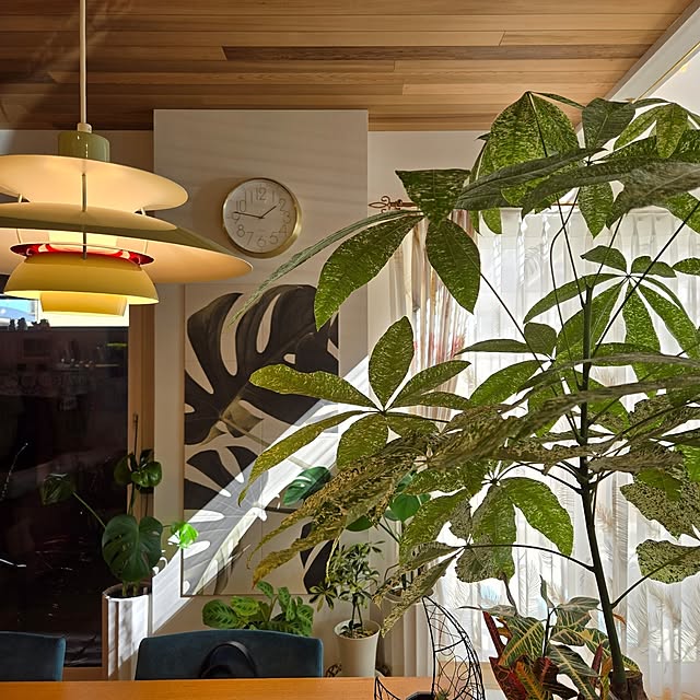 nonbiri_house_さんの部屋