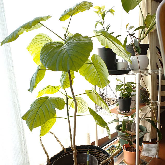 0935さんの実例写真