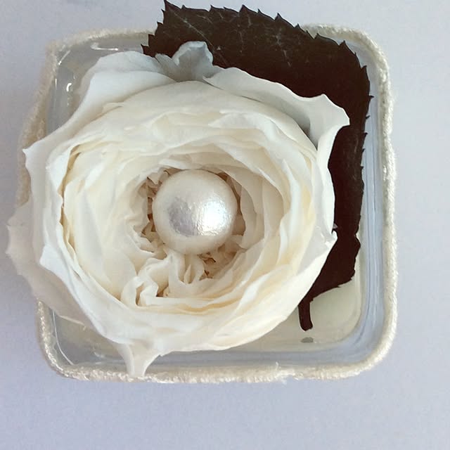 0062maさんの実例写真
