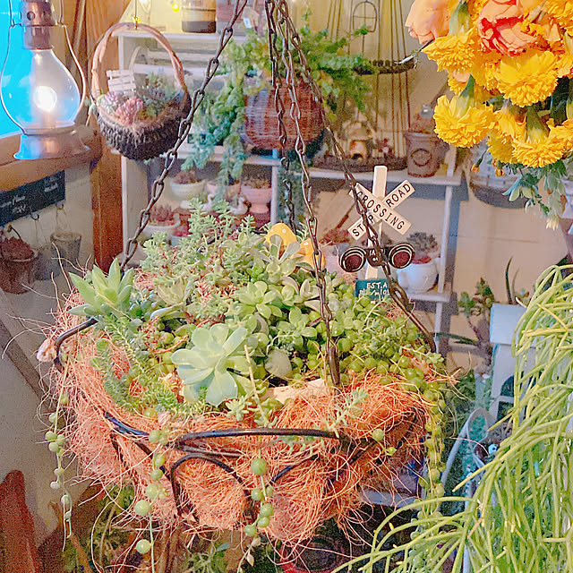Hanakaさんの部屋