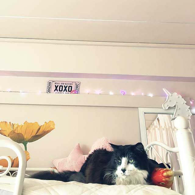 kanaさんの実例写真