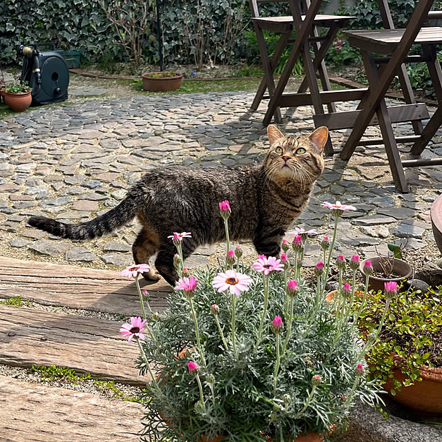 kuuさんの実例写真