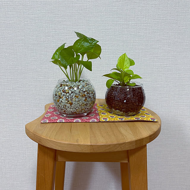 yoyoyoさんの実例写真
