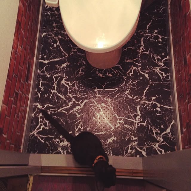 Naoki.さんの実例写真