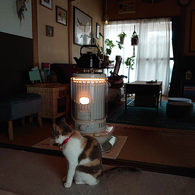 fukuさんの実例写真