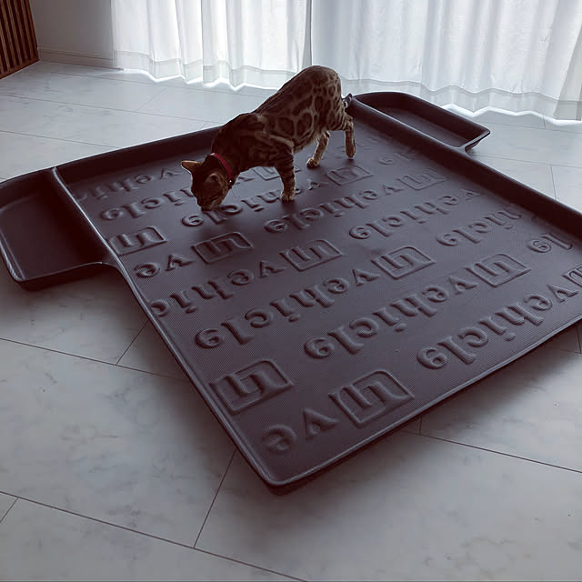 iranさんの実例写真