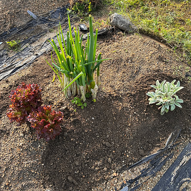ayayayayaさんの部屋