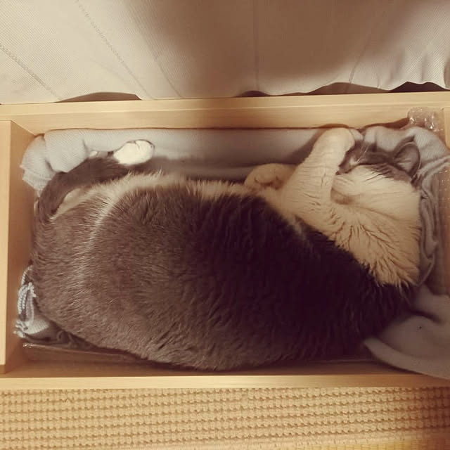 rhuさんの実例写真
